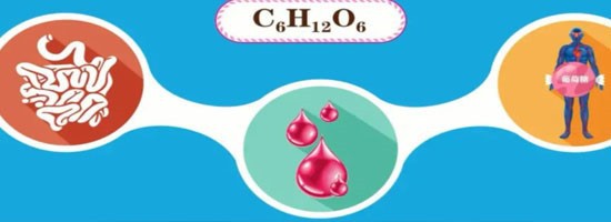 SLU-PP-332 Buy | Shaanxi BLOOM Tech Co., Ltd SLU-PP-332 Buy | Shaanxi BLOOM Tech Co., Ltd