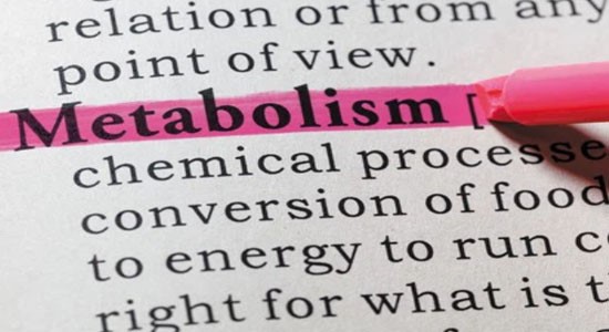 SLU-PP-332 Online | Shaanxi BLOOM Tech Co., Ltd SLU-PP-332 Online | Shaanxi BLOOM Tech Co., Ltd