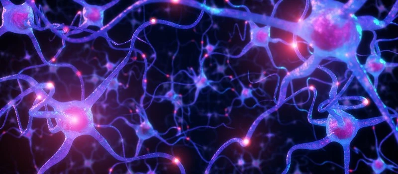 Cagrilintide Central nervous system | Shaanxi BLOOM Tech Co., Ltd Cagrilintide Central nervous system | Shaanxi BLOOM Tech Co., Ltd